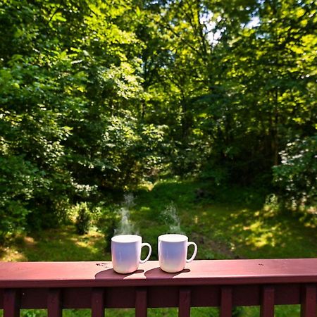 Smoky Mountains Hut Tub Cabin Dog Friendly Sevierville Ngoại thất bức ảnh